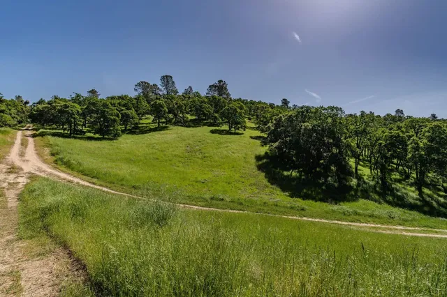 a view of a golf course with a lake