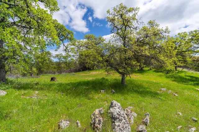 a view of a garden with a flower in a garden