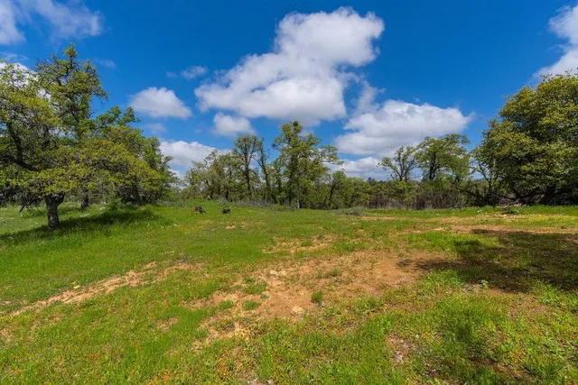 a view of a golf course with a fountain