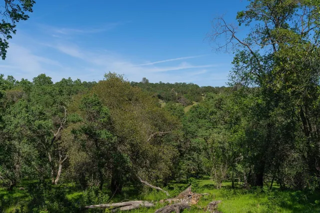 a view of a city with lush green forest