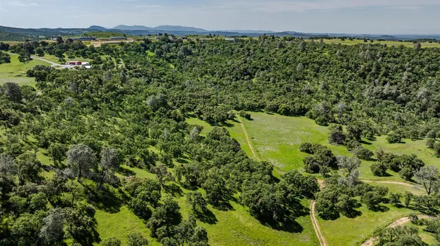 a view of a large yard with large trees