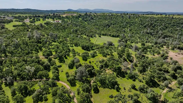 a view of a large yard with lots of green space