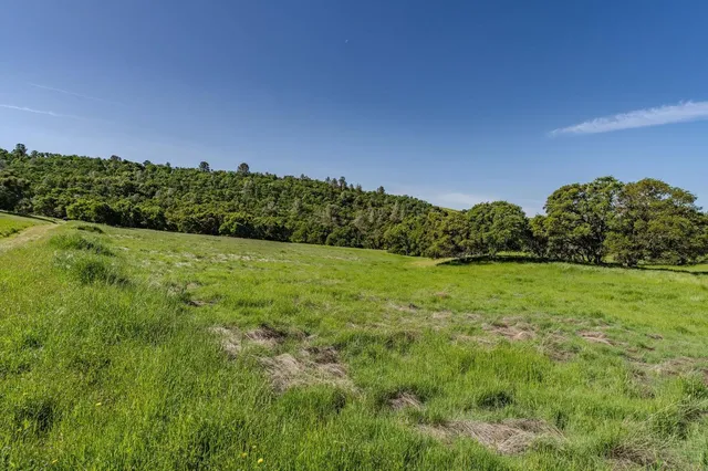 a view of a grassy field with trees in the background