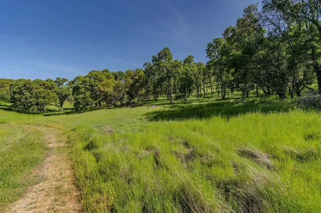 a view of a lake with a yard
