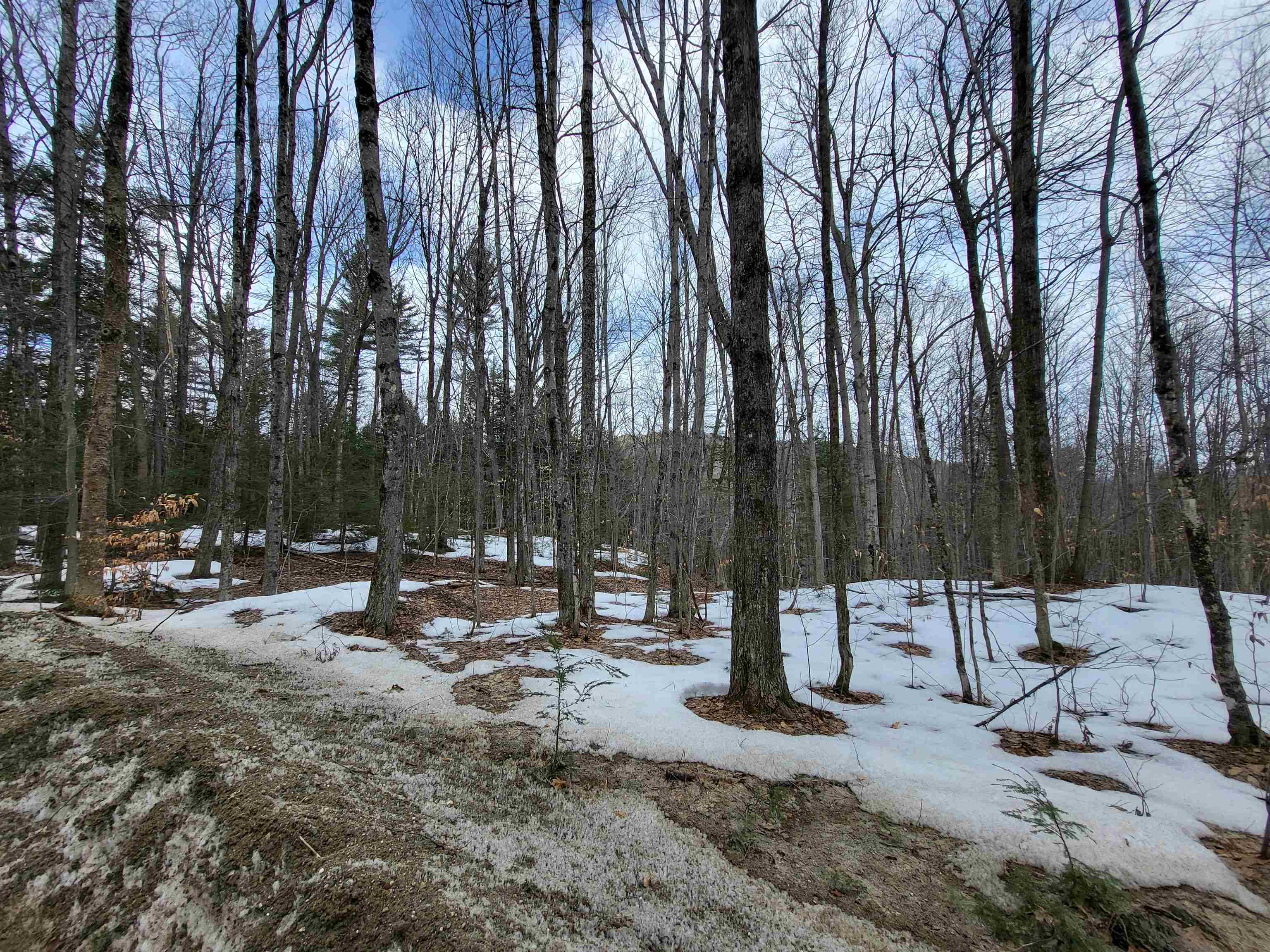 890 Washburn Road Alexandria, NH 03222 - Photo 12 of 15