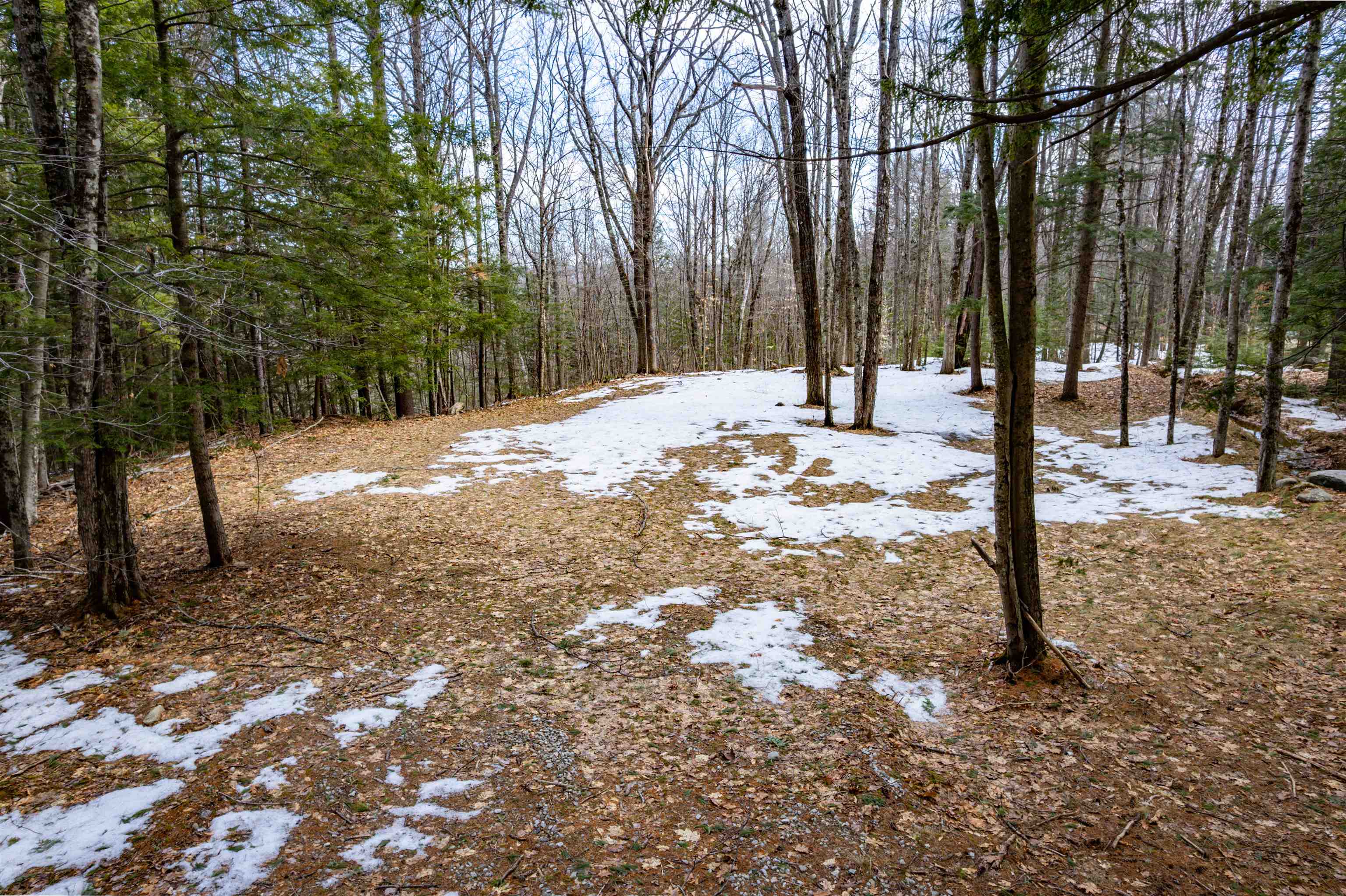 890 Washburn Road Alexandria, NH 03222 - Photo 13 of 15