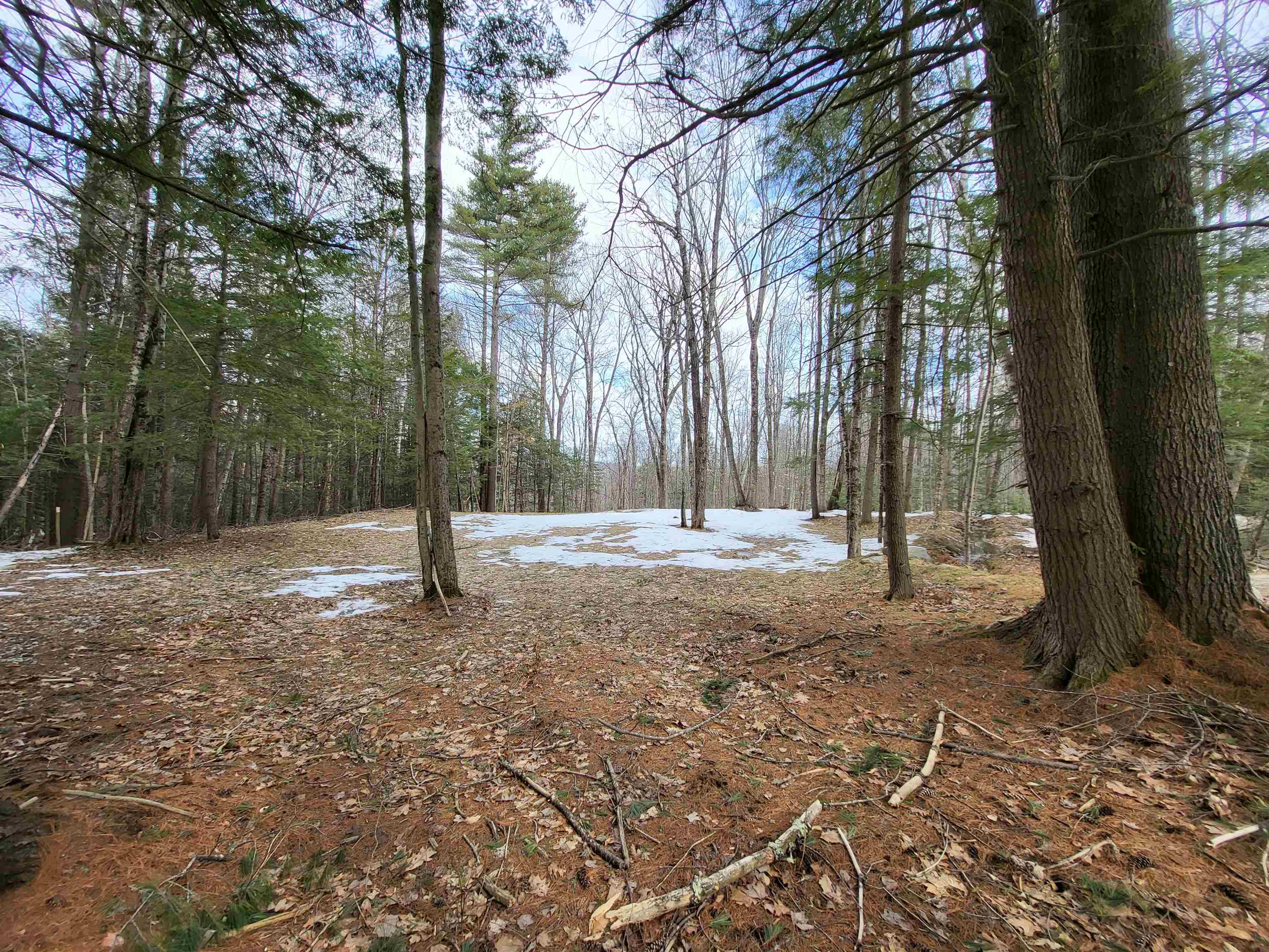 890 Washburn Road Alexandria, NH 03222 - Photo 3 of 15