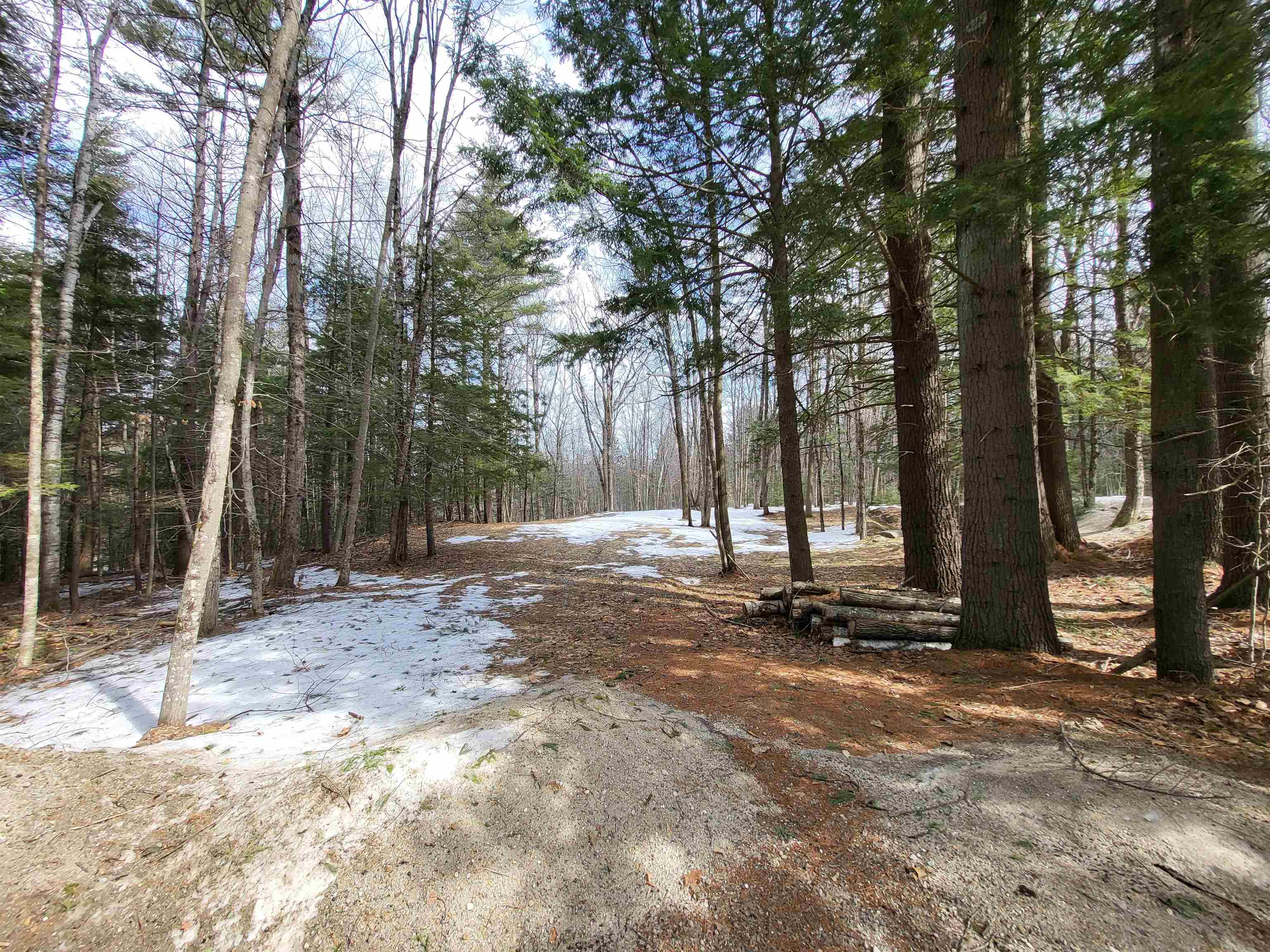 890 Washburn Road Alexandria, NH 03222 - Photo 4 of 15