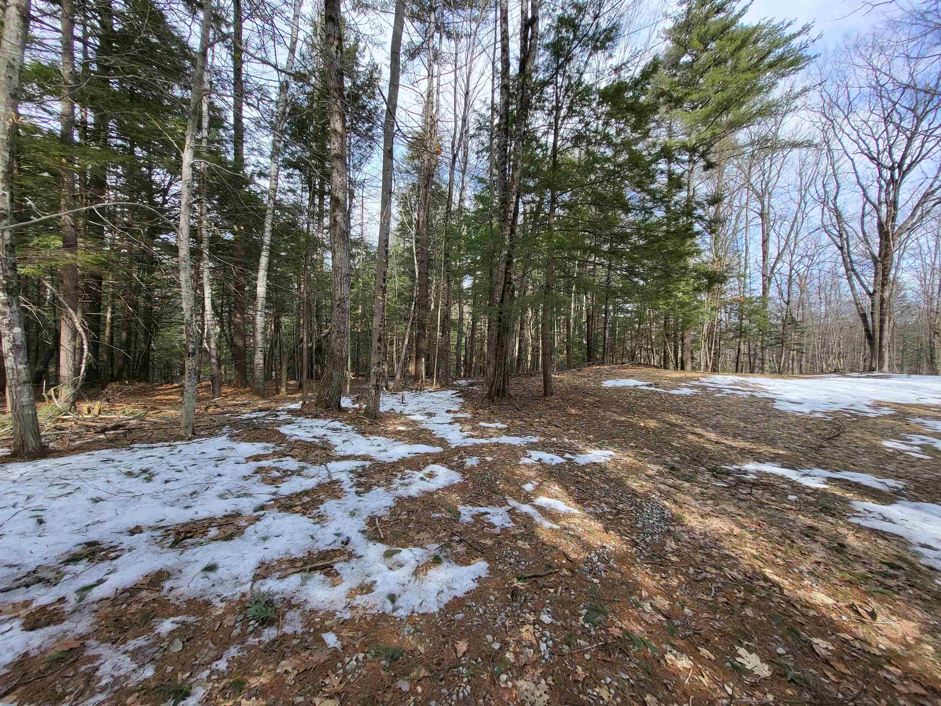 890 Washburn Road Alexandria, NH 03222 - Photo 5 of 15