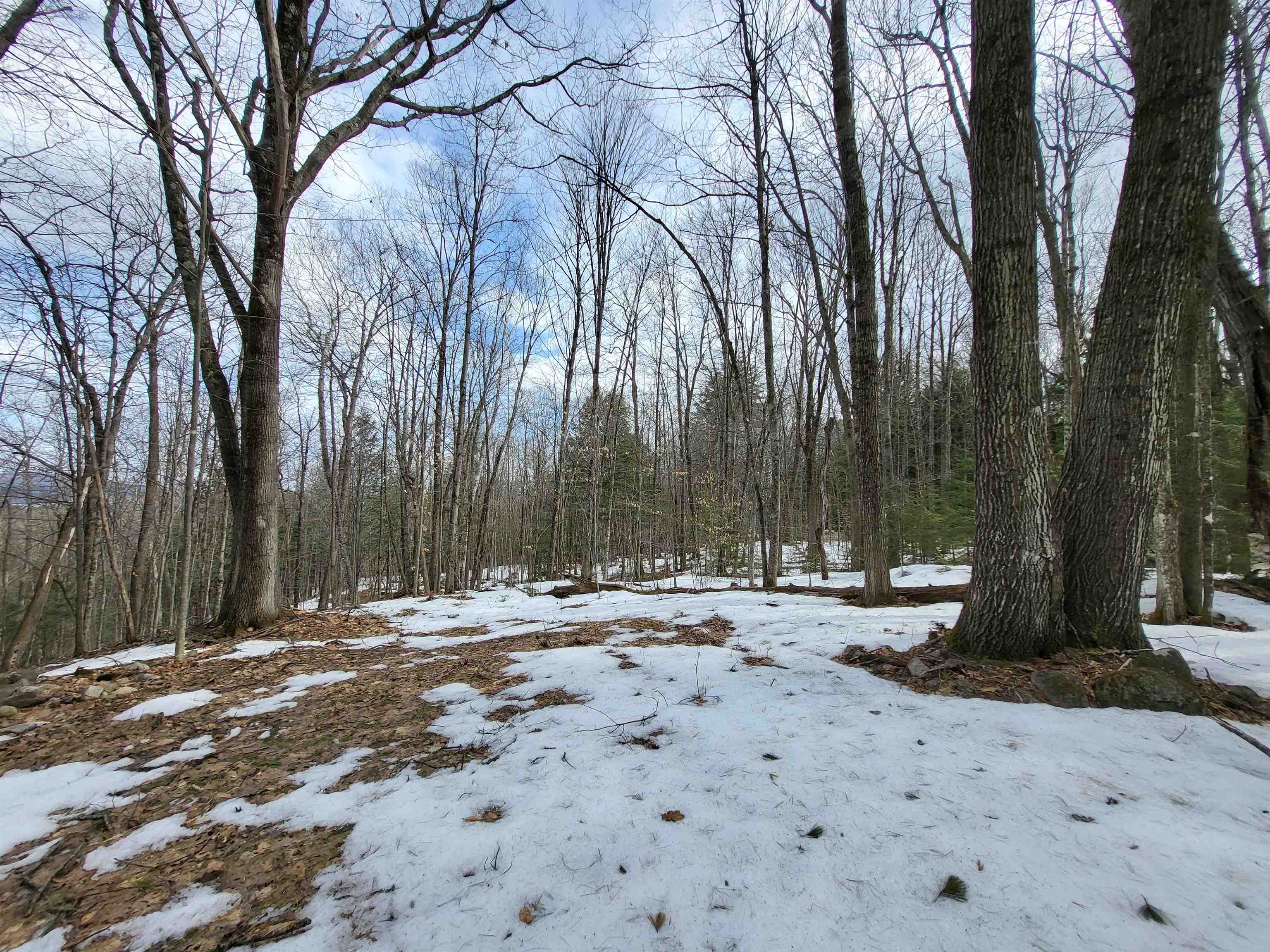 890 Washburn Road Alexandria, NH 03222 - Photo 6 of 15