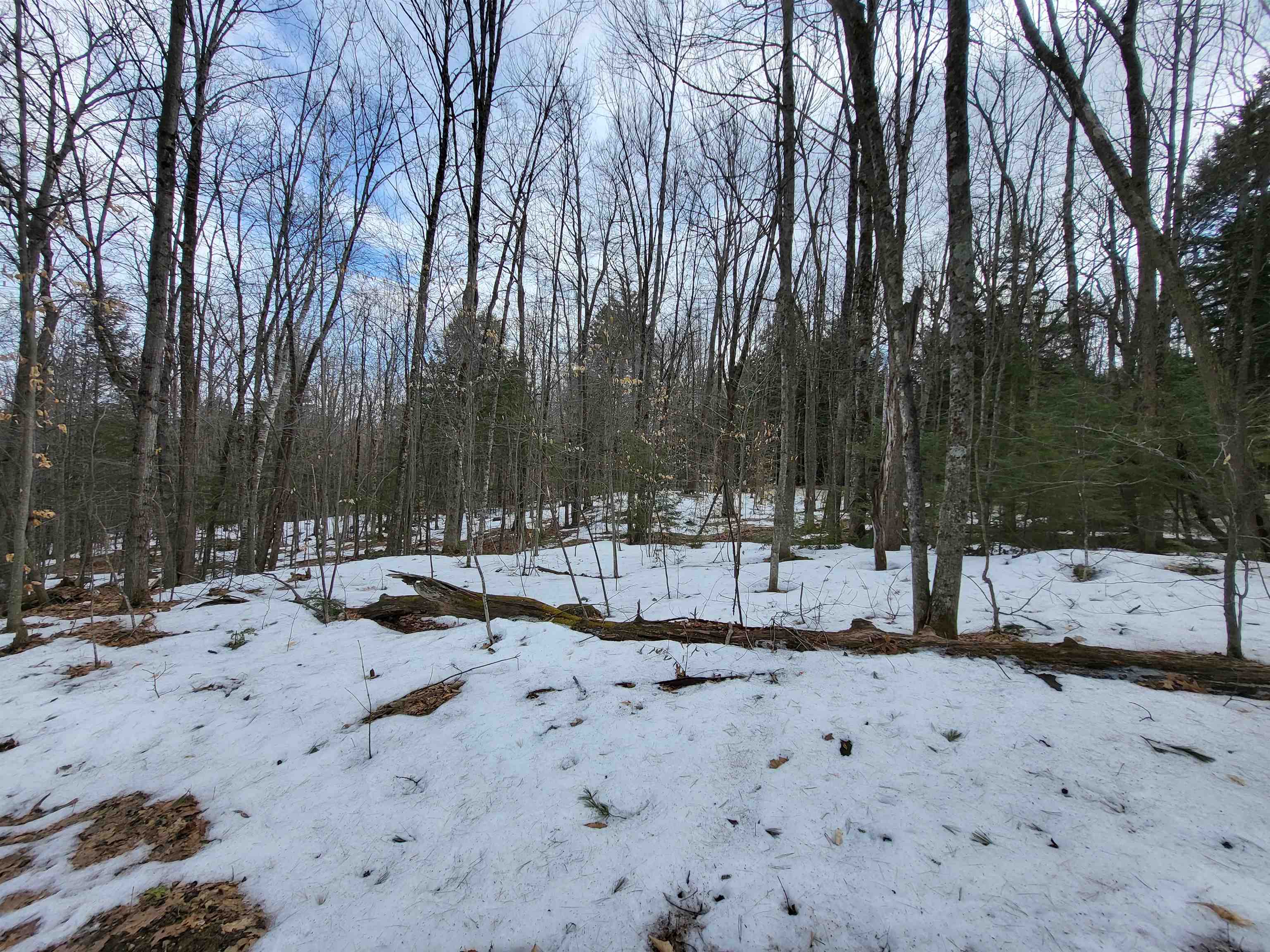 890 Washburn Road Alexandria, NH 03222 - Photo 7 of 15