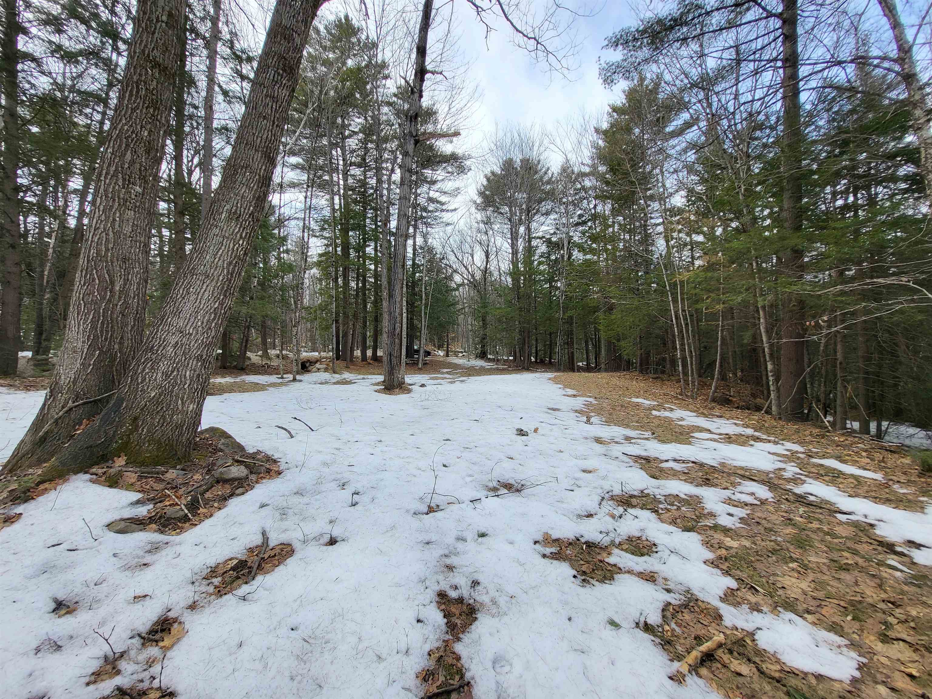 890 Washburn Road Alexandria, NH 03222 - Photo 8 of 15