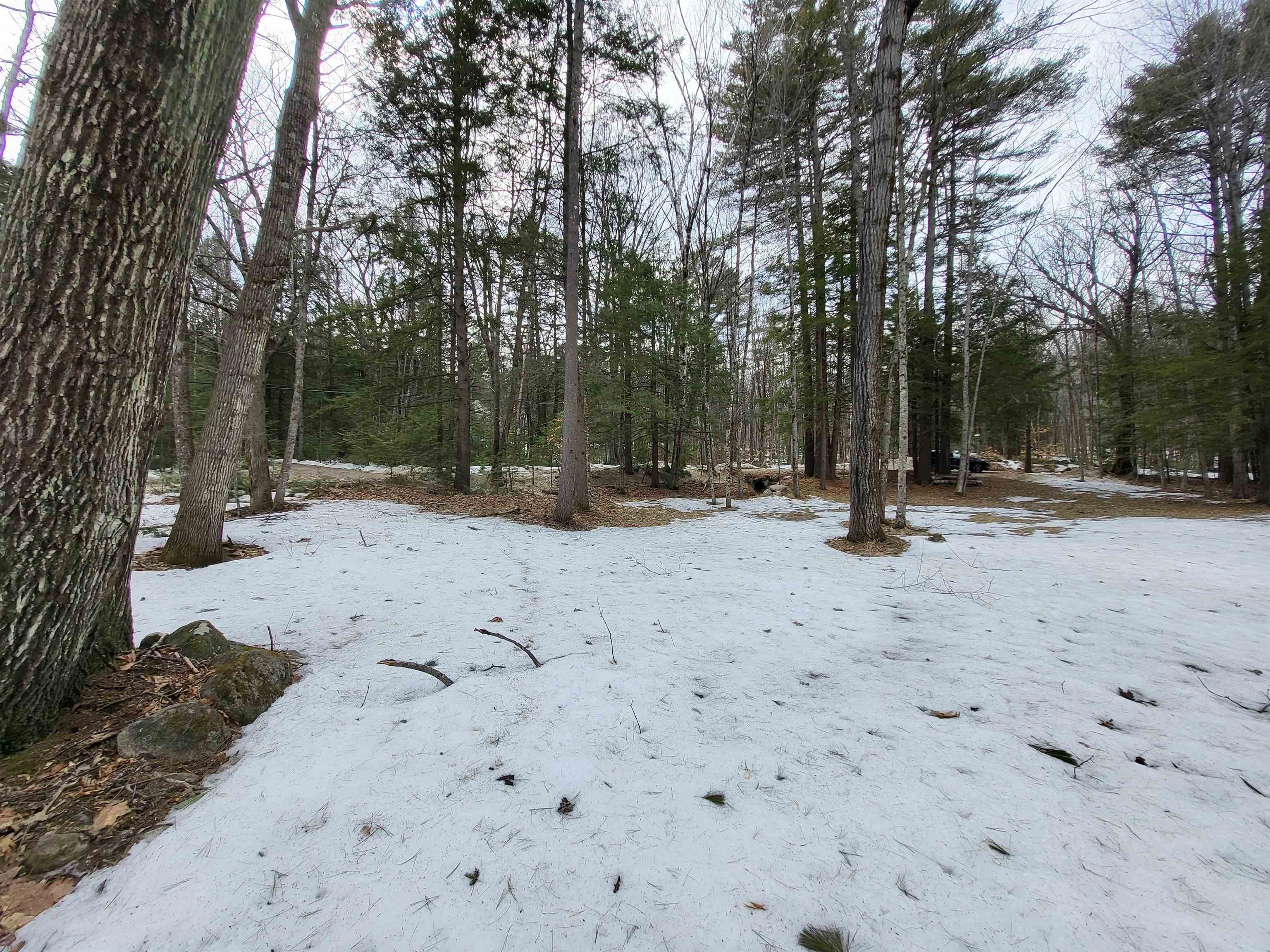 890 Washburn Road Alexandria, NH 03222 - Photo 9 of 15