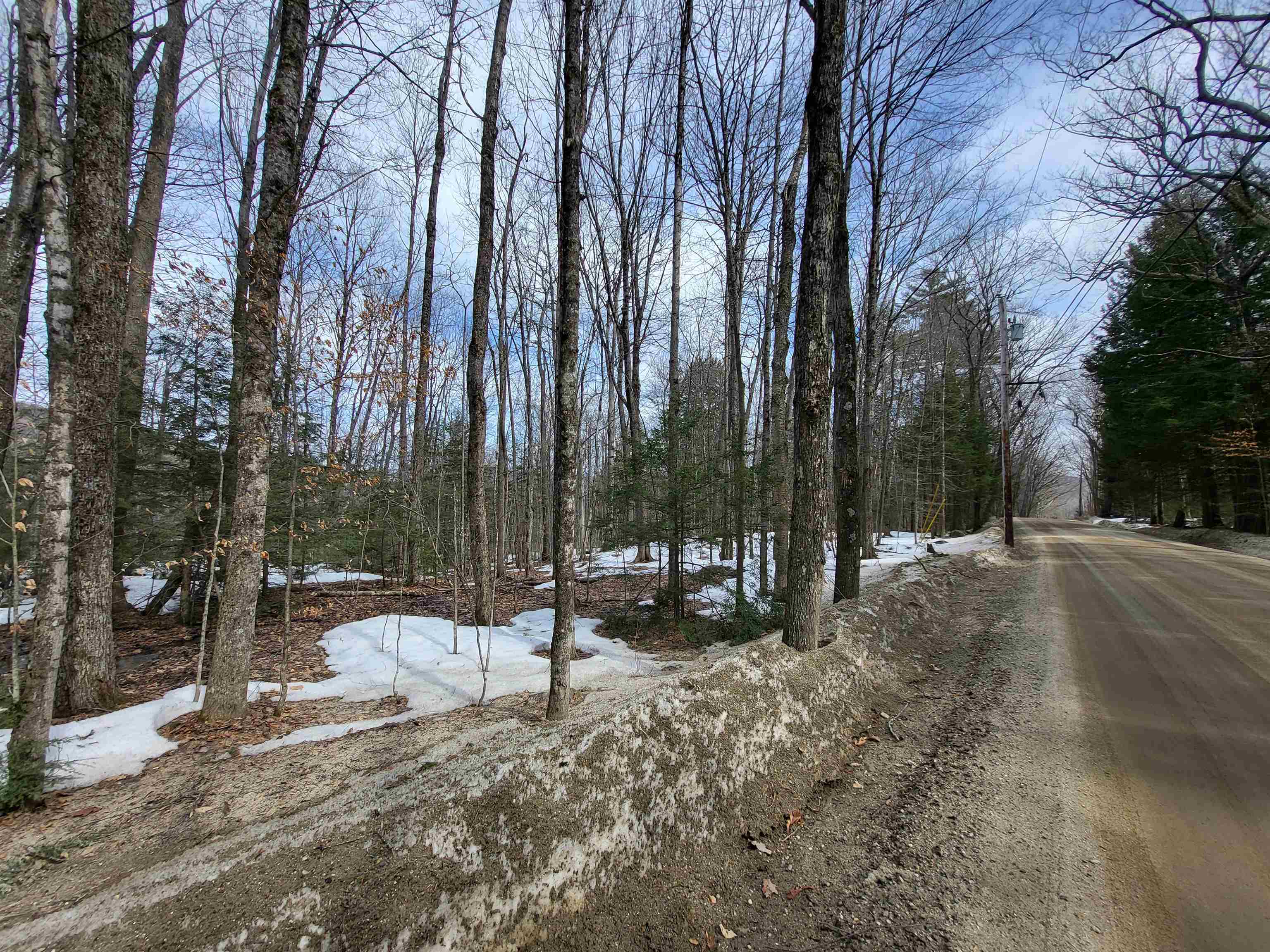 890 Washburn Road Alexandria, NH 03222 - Photo 10 of 15