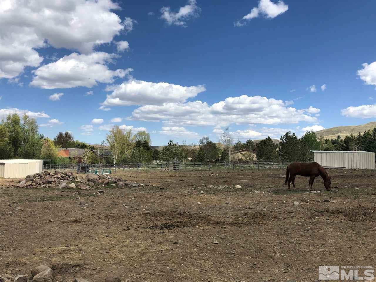 600 Deer Mountain Road Reno, NV 89523 - Photo 8 of 13 Photo 8