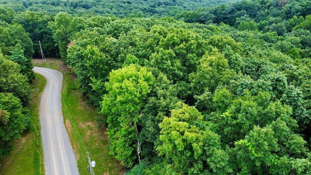 185 Raccoon Ridge Road Spring City, TN 37381 - Photo 11 of 37 Gallery Image 11
