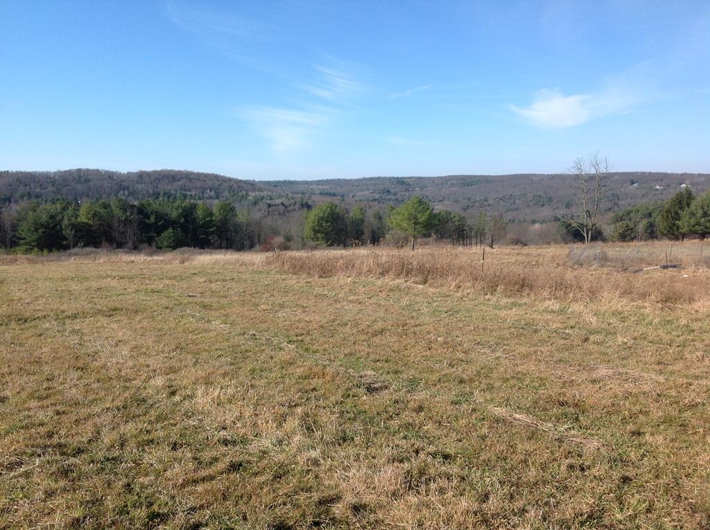 0 Riff Road Corning, NY 14830 - Photo 1 of 1