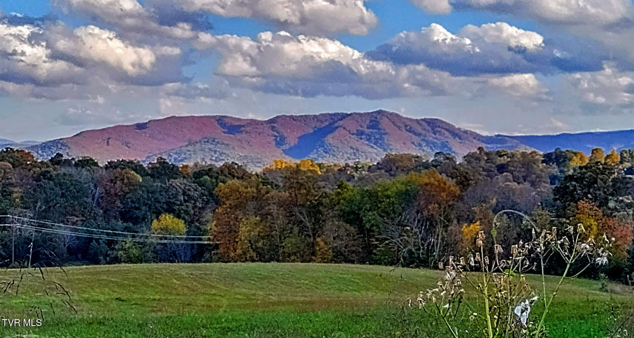 235 Fairridge Road Johnson City, TN 37604 - Photo 48 of 48 4785878881435235514