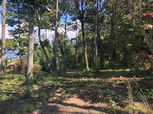 $59,000 | 418 Brow Wood, Lookout Mountain, GA 30750