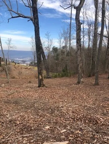 $59,000 | 418 Brow Wood, Lookout Mountain, GA 30750