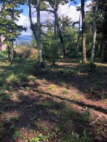 $59,000 | 418 Brow Wood, Lookout Mountain, GA 30750