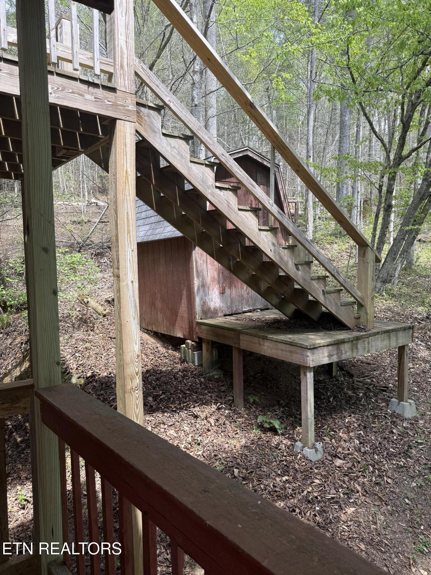 4273 Possum Hollow Road Cosby, TN 37722 - Photo 15 of 16 IMG_9419