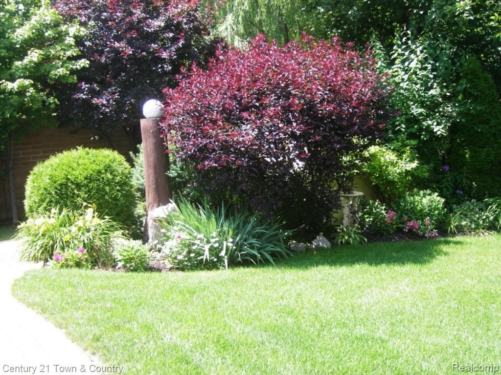 2908 Alexander Street Rochester, MI 48309 - Photo 34 of 38 Beautiful Shrubs in Back Yard