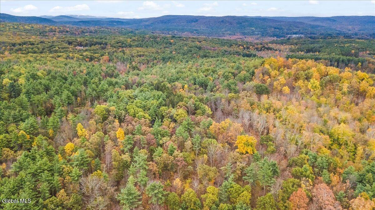 474 Groveside Road Pittstown, NY 12090 - Photo 116 of 121 04-DJI_0010