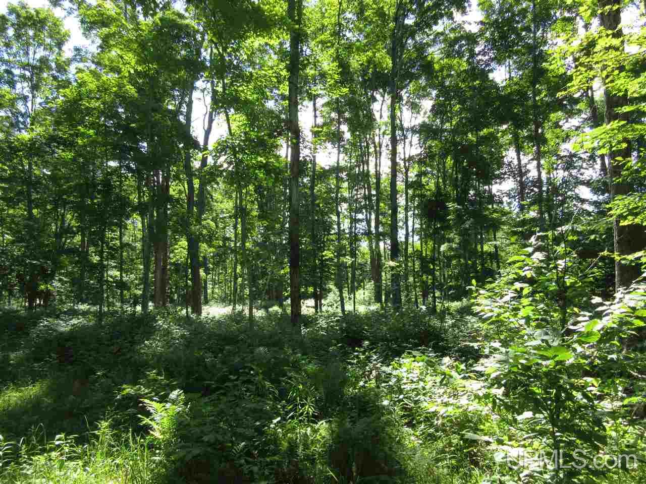 2906 River Road Gulliver, MI 49840 - Photo 37 of 37 Gallery Image 37