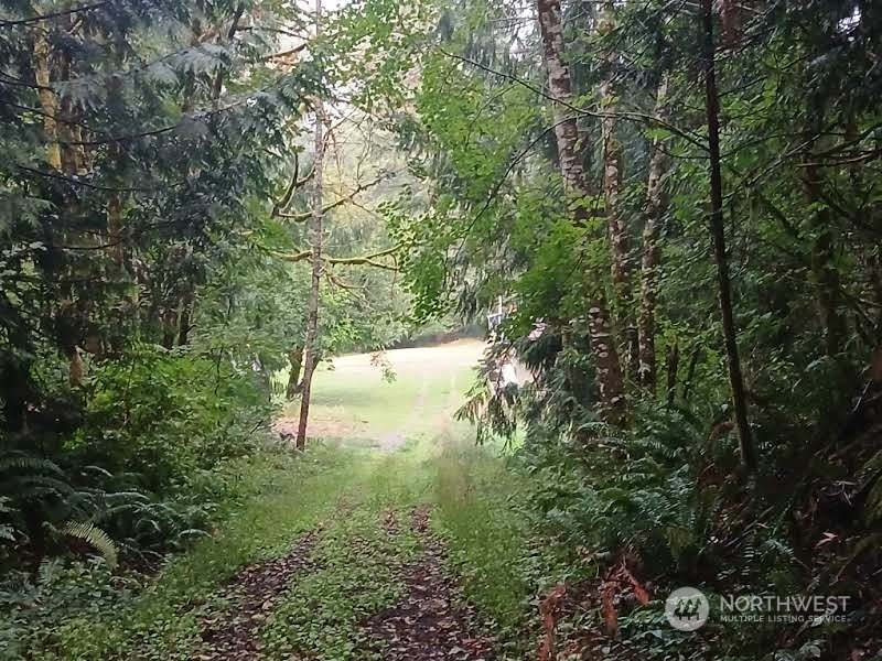 409 Reinke Road Centralia, WA 98531 - Photo 39 of 39