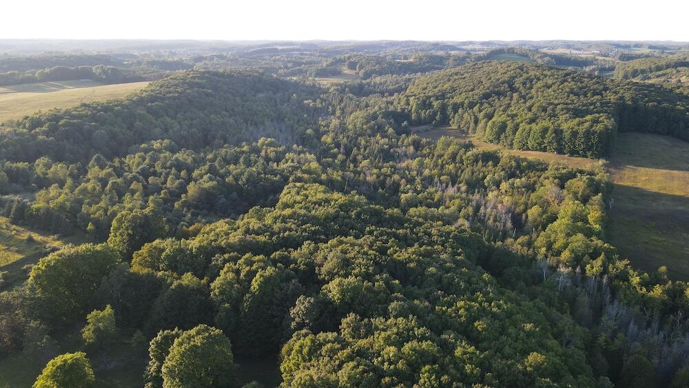 8530 Toad Lake Road Ellsworth, MI 49729 - Photo 53 of 93 DJI_0006
