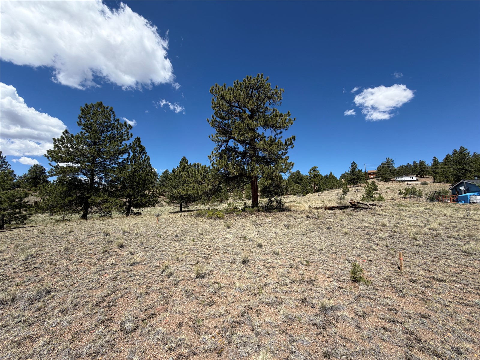595 Bridle Path Hartsel, CO 80449 - Photo 6 of 23