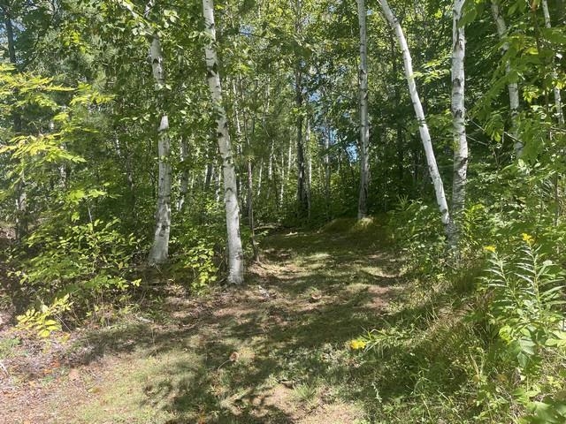 Lot 4 Skyview Road Mosinee, WI 54455 - Photo 4 of 17
