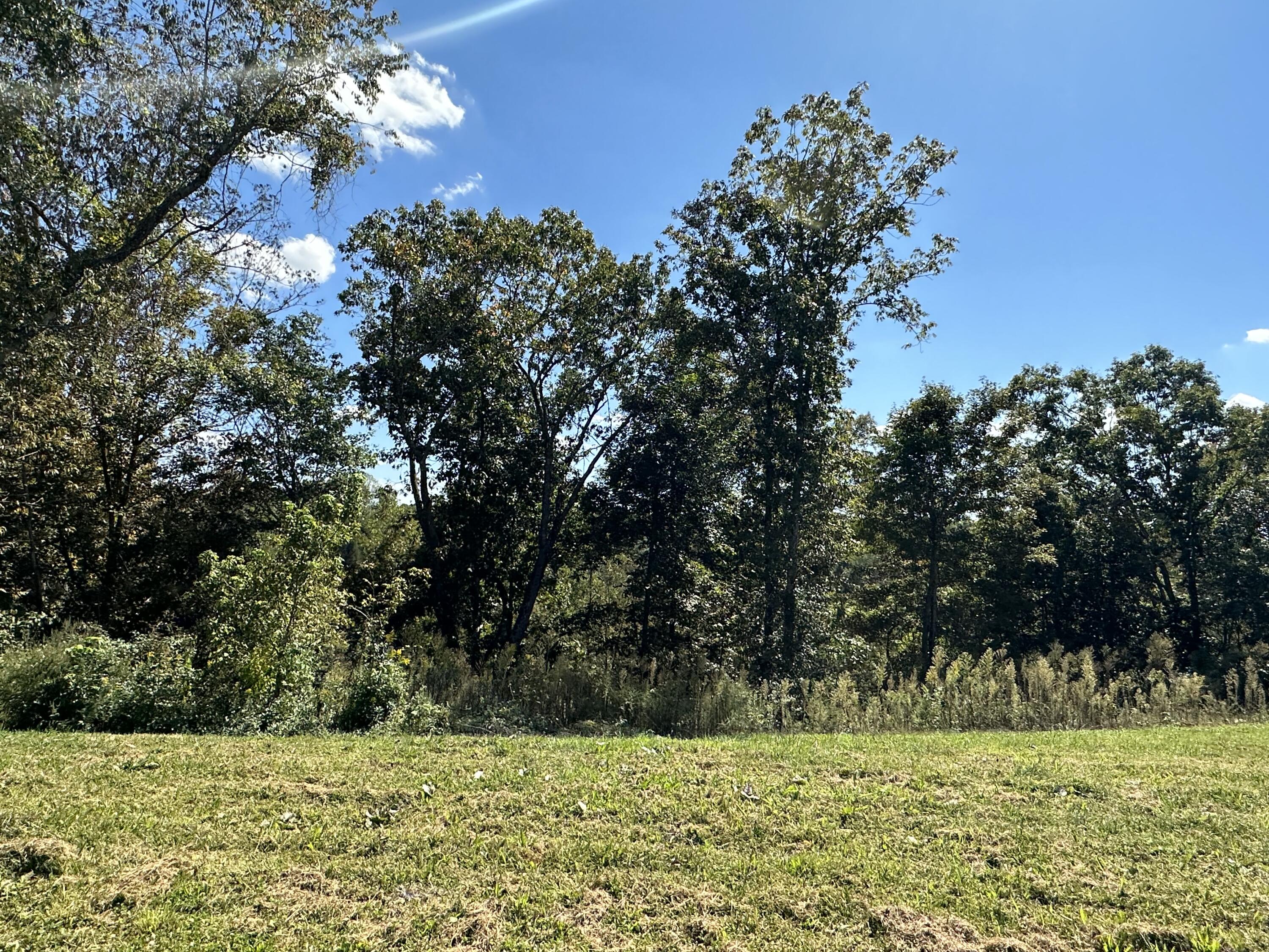 Lot 6 Baldwin Road McKee, KY 40447 - Photo 25 of 29 IMG_8746