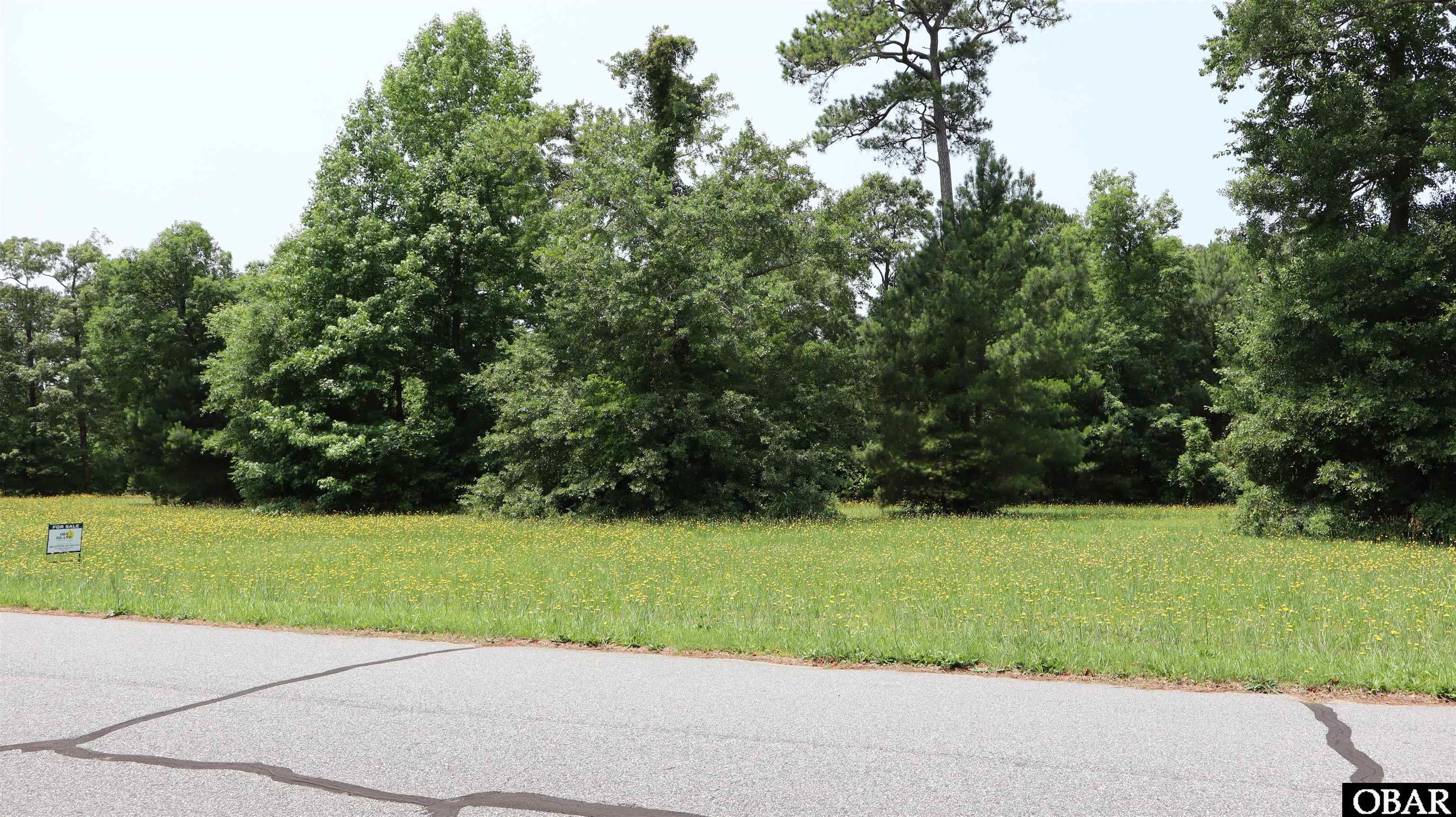 112 Aviator Drive Maple, NC 27956 - Photo 15 of 33