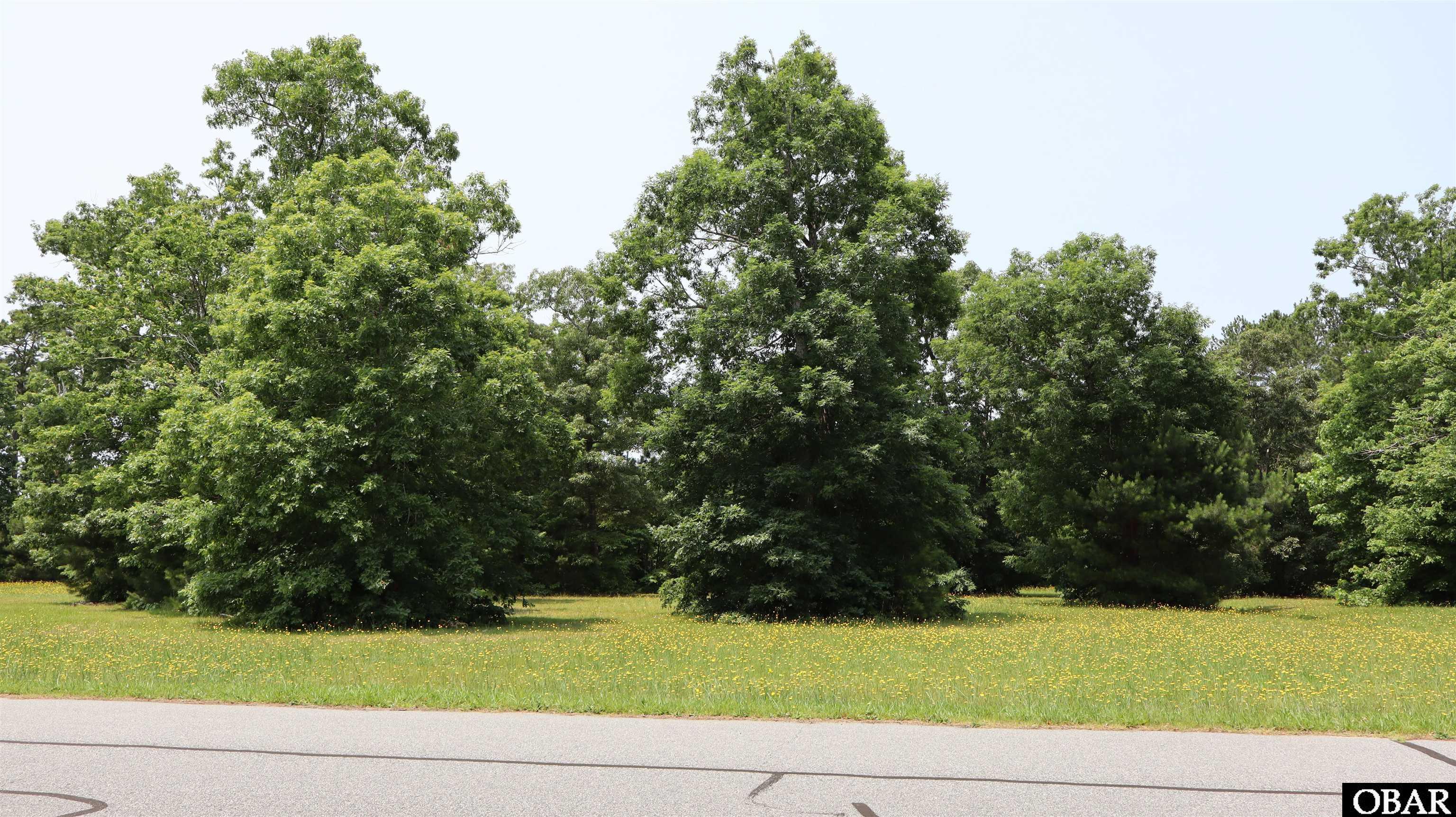 112 Aviator Drive Maple, NC 27956 - Photo 16 of 33