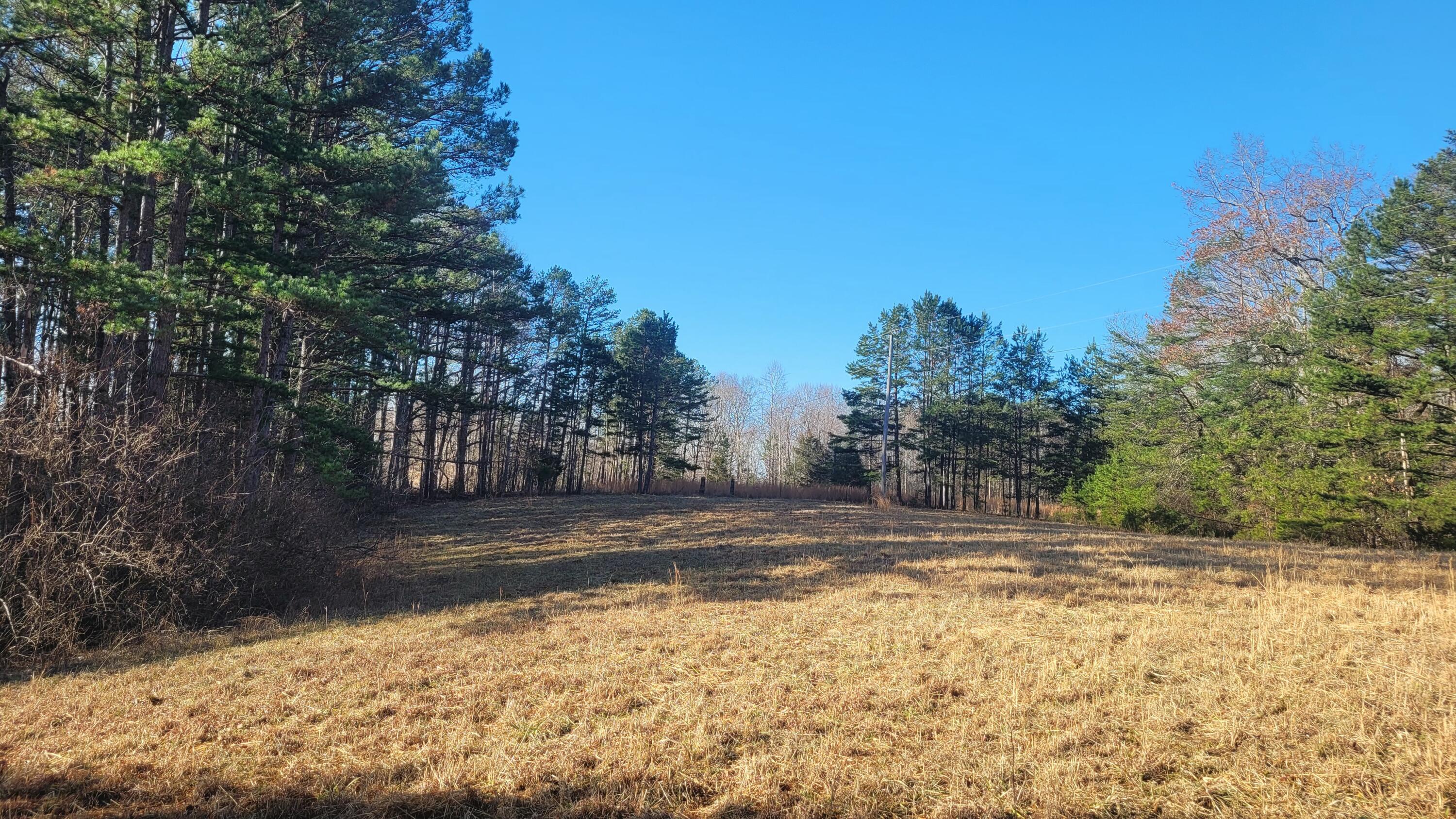 1330 Pea Ridge Road Somerset, KY 42501 - Photo 8 of 14 20250203_095551