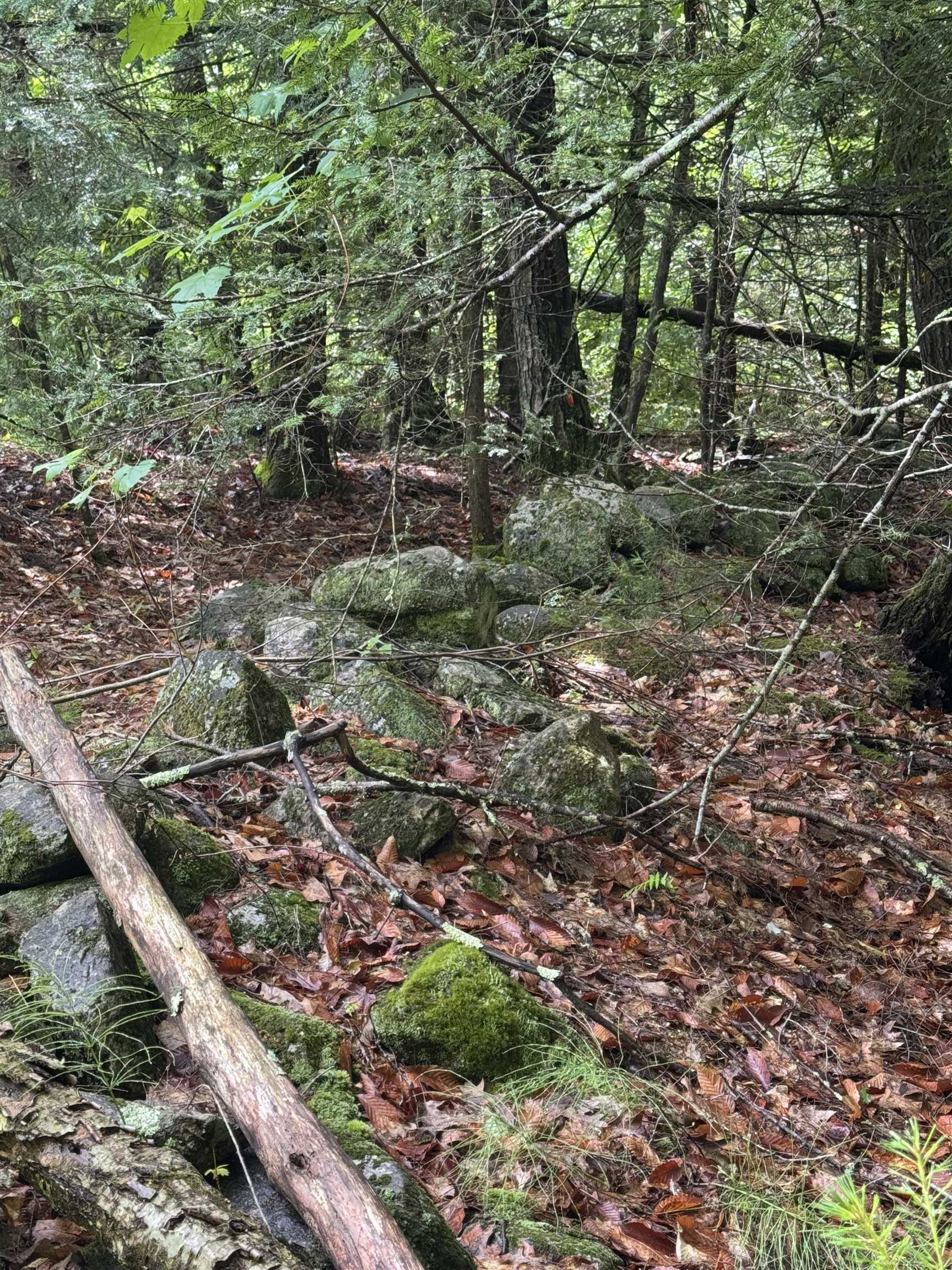 0 Hurricane Road, Unit BACKLAND Westmoreland, NH 03467 - Photo 9 of 10