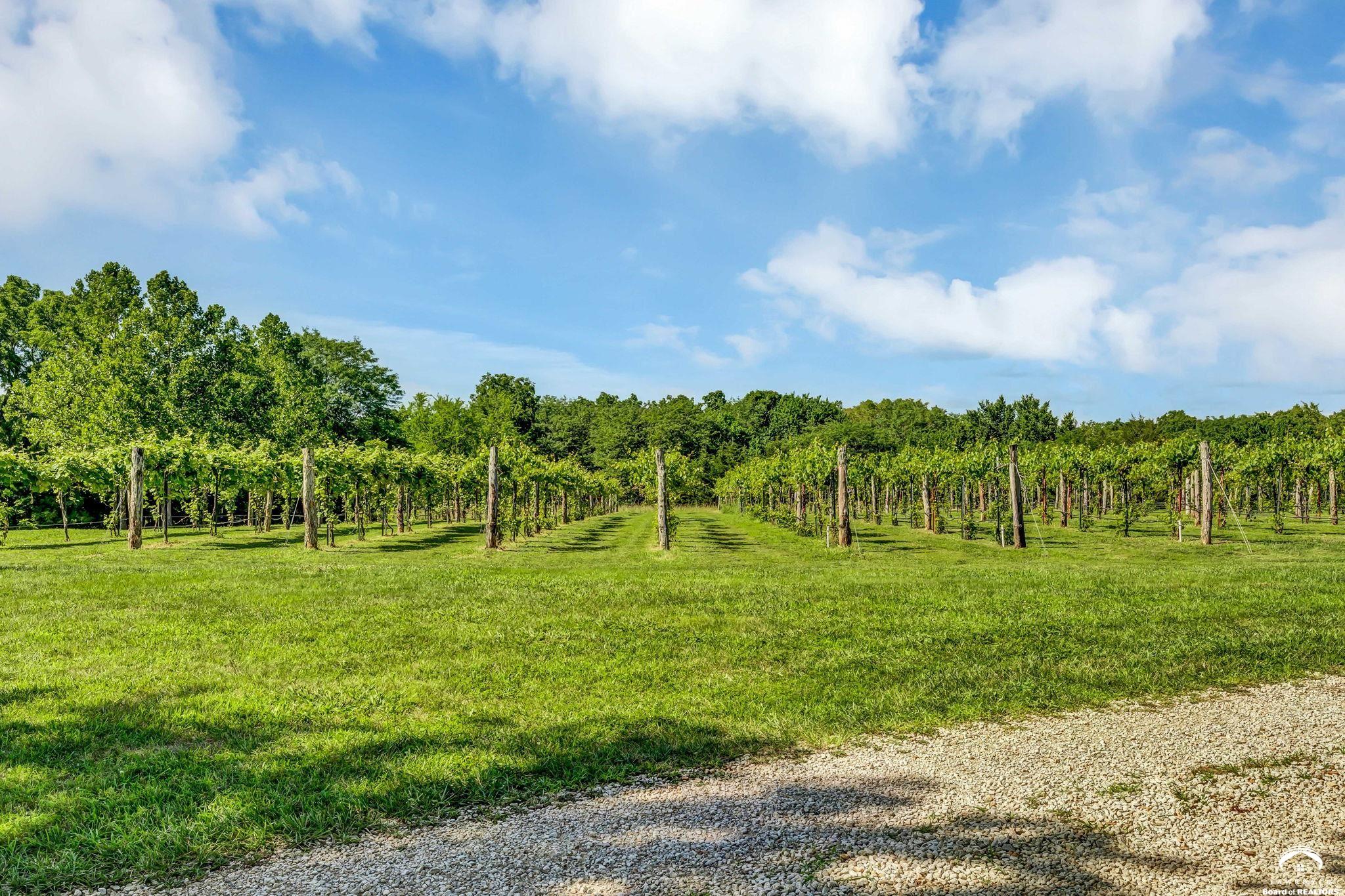 748 North 1851 Diagonal Road Lecompton, KS 66050 - Photo 79 of 85