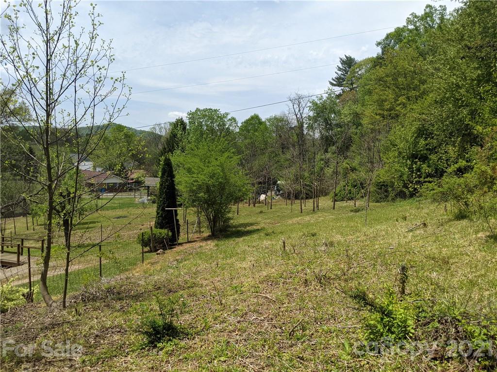 60 Riddle Road Swannanoa, NC 28778 - Photo 11 of 40 Gallery Image 11