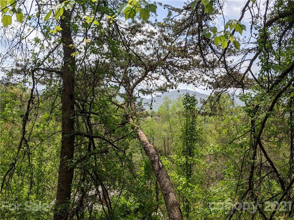 60 Riddle Road Swannanoa, NC 28778 - Photo 14 of 40 Gallery Image 14