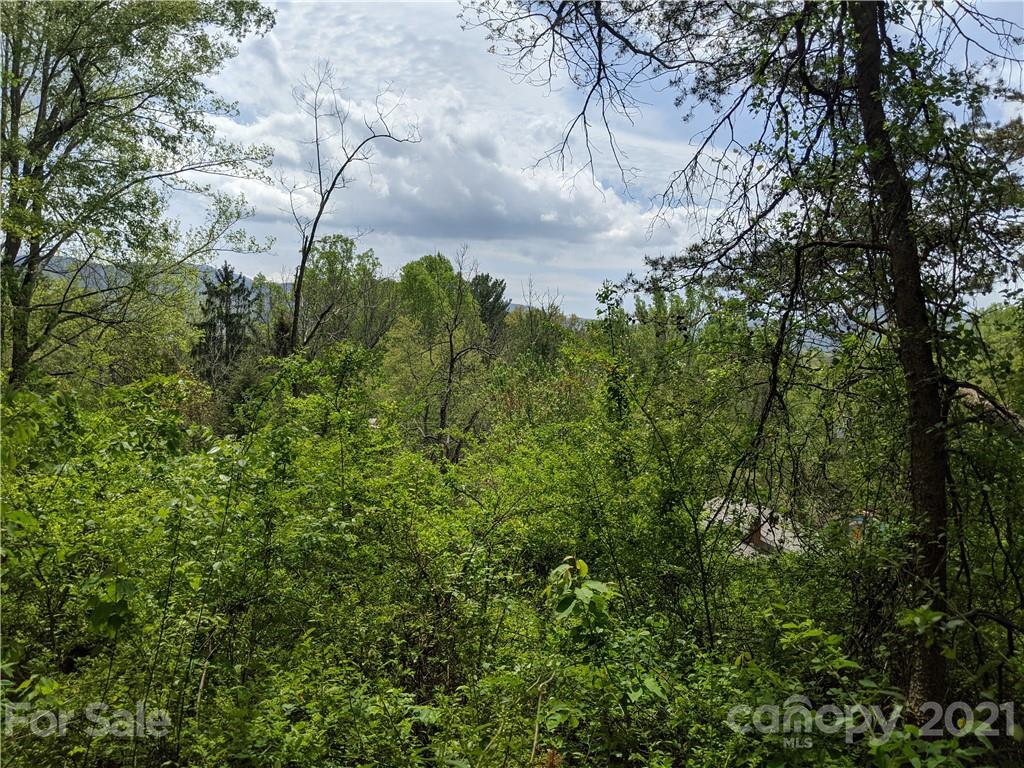 60 Riddle Road Swannanoa, NC 28778 - Photo 15 of 40 Gallery Image 15