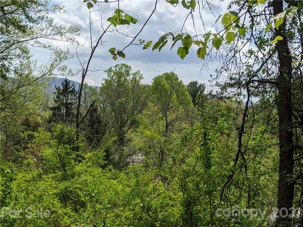 60 Riddle Road Swannanoa, NC 28778 - Photo 16 of 40 Gallery Image 16