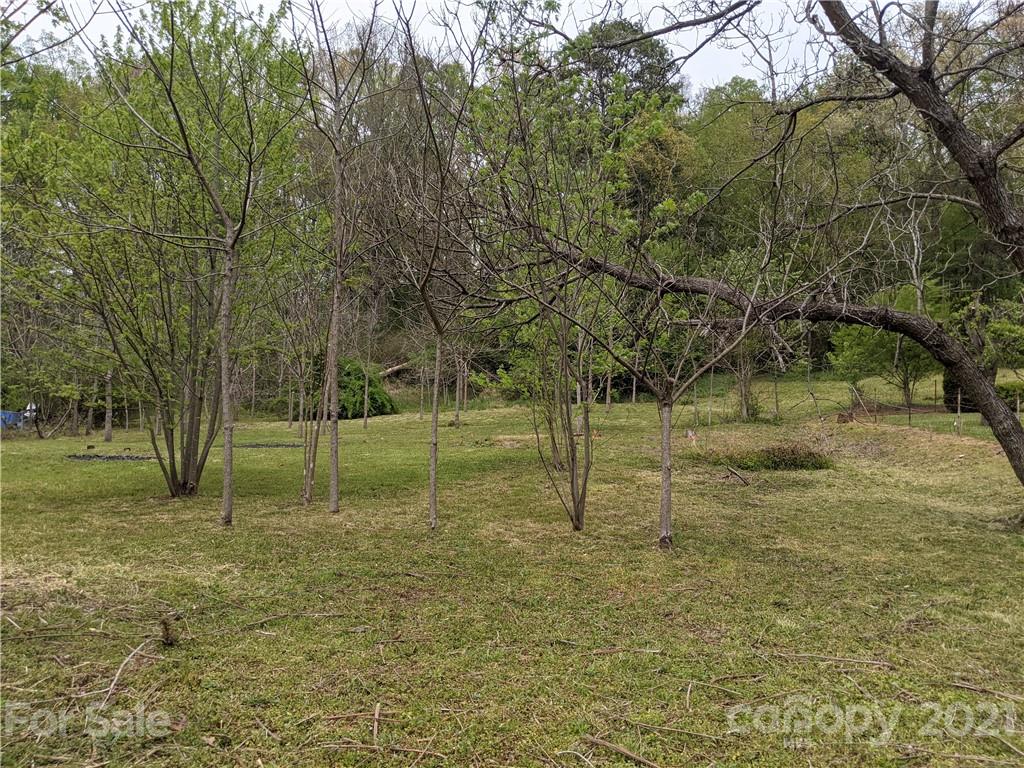 60 Riddle Road Swannanoa, NC 28778 - Photo 36 of 40 Gallery Image 36