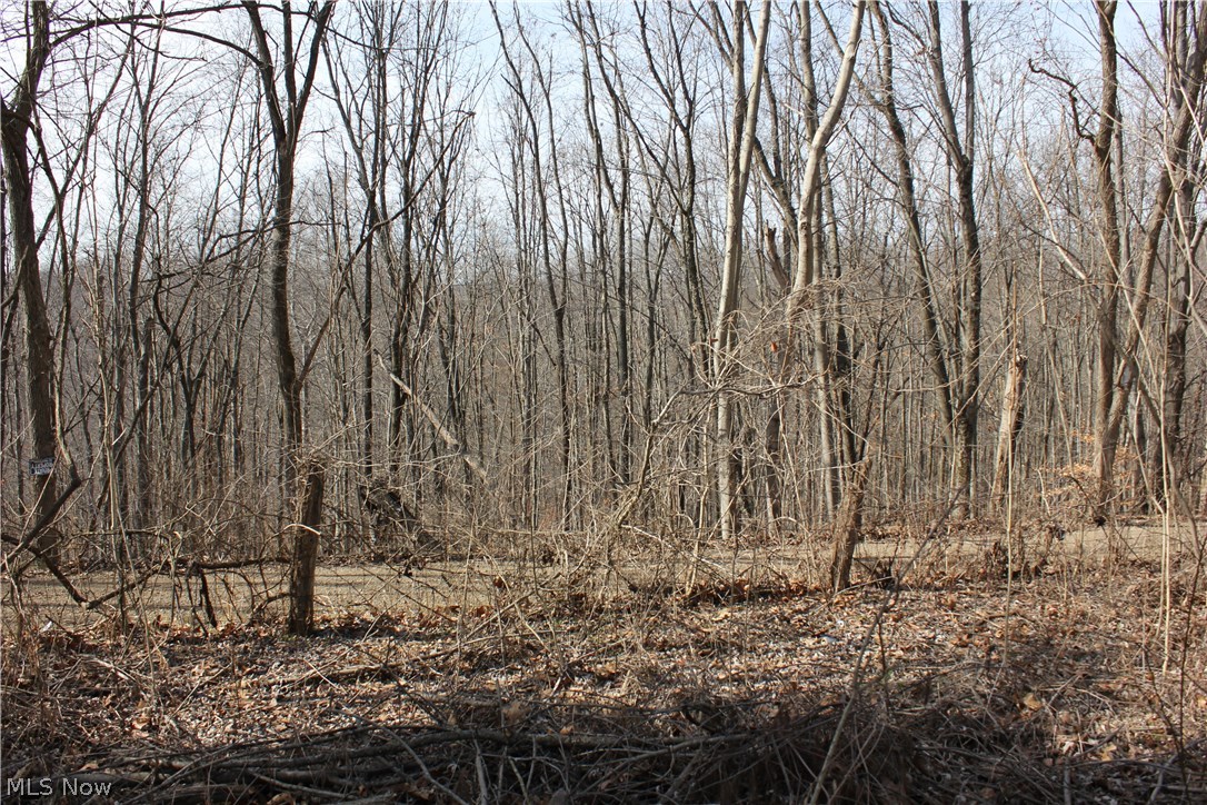 74782 Science Hill Road Kimbolton, OH 43749 - Photo 14 of 26 Acreage across the road