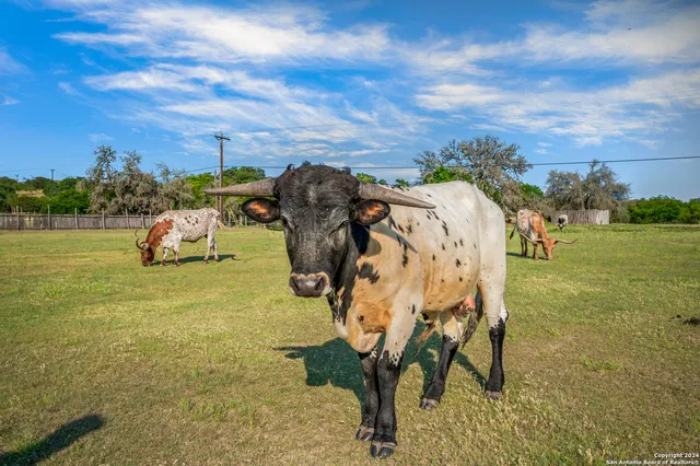 $4,750,000 | 103 Waring Welfare Road, Boerne, TX 78006