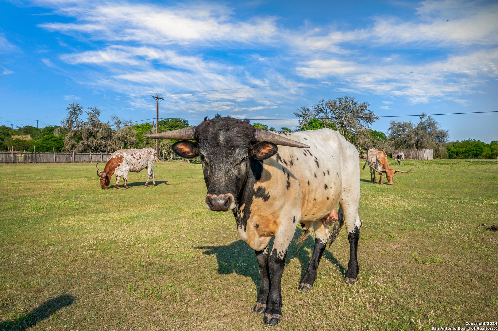 103 Waring Welfare Road Boerne, TX 78006 - Photo 31 of 33