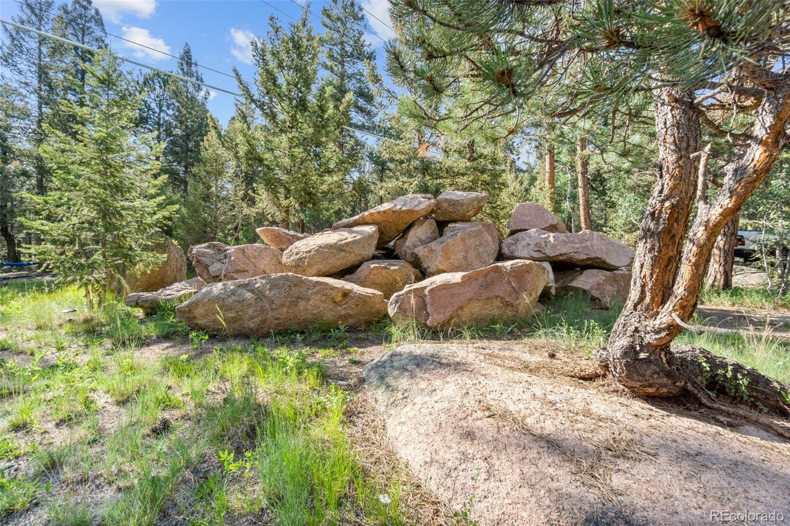 30540 Rand Road Conifer, CO 80433 - Photo 33 of 37 a backyard of a house with lots of green space
