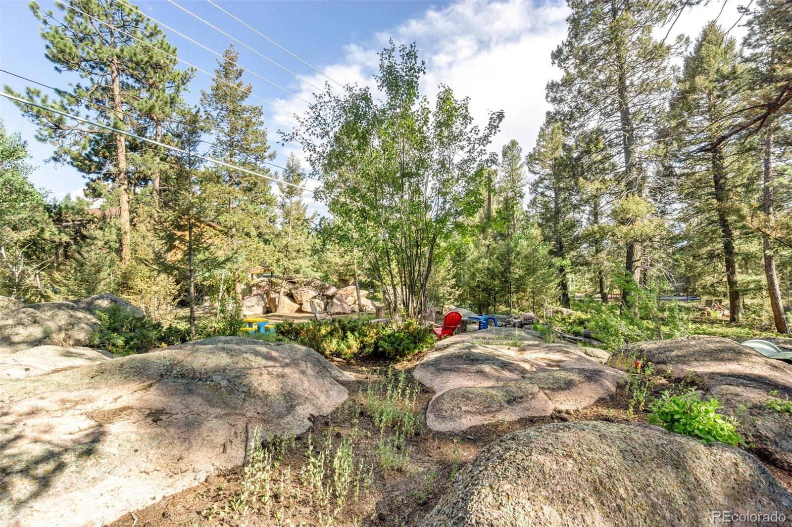 30540 Rand Road Conifer, CO 80433 - Photo 35 of 37 a view of a garden with plants and trees