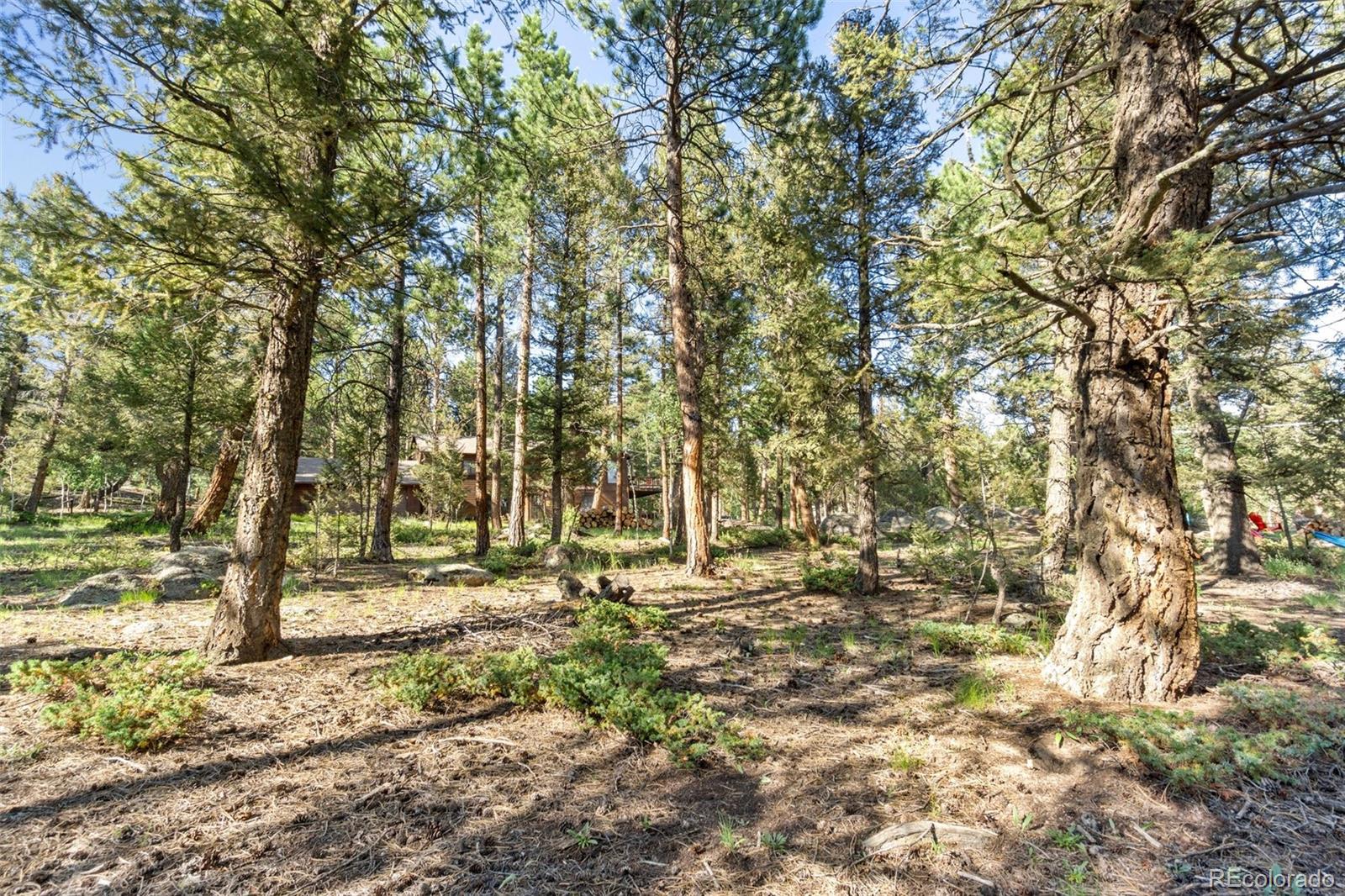 30540 Rand Road Conifer, CO 80433 - Photo 36 of 37 a view of yard with green space